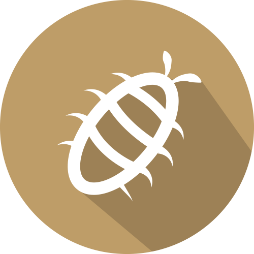 État parasitaire et mérule